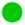 green circle