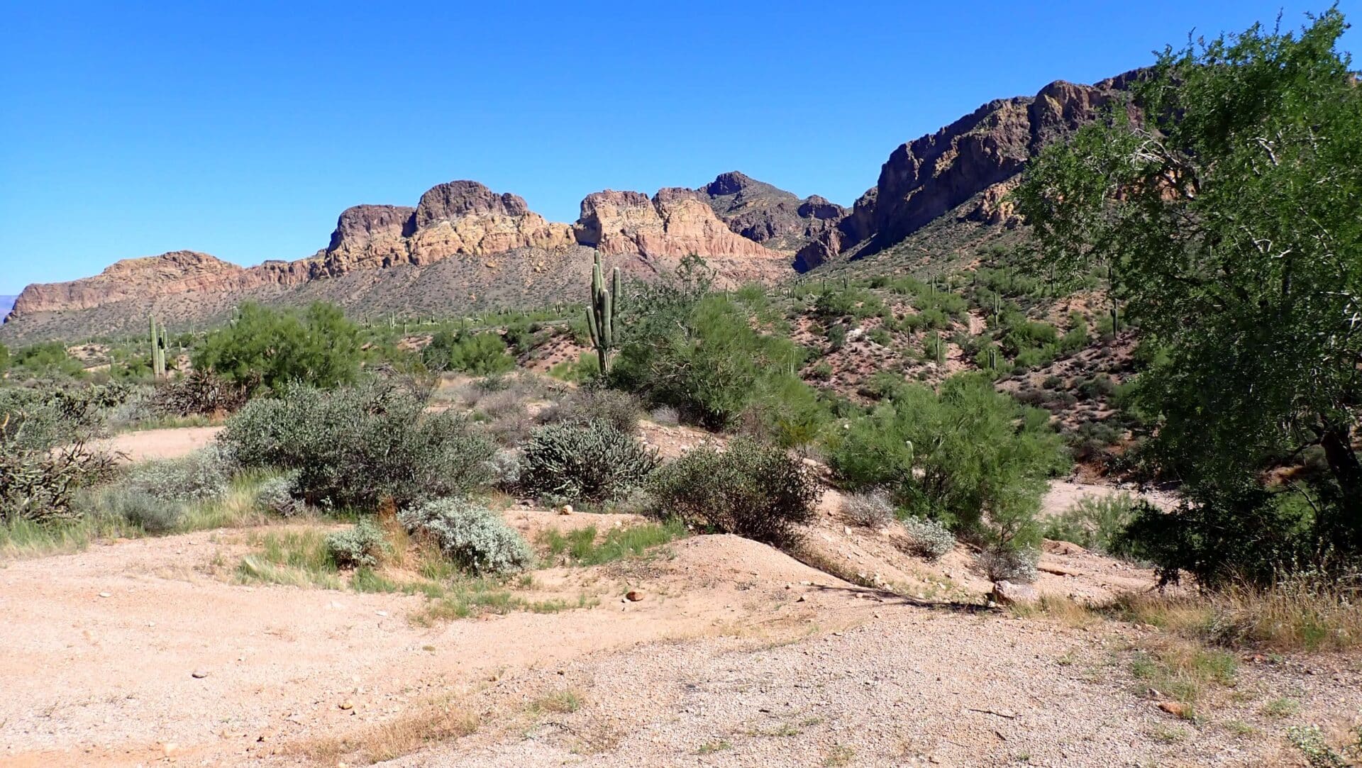 Bulldog Canyon – Usery Pass to Blue Point background