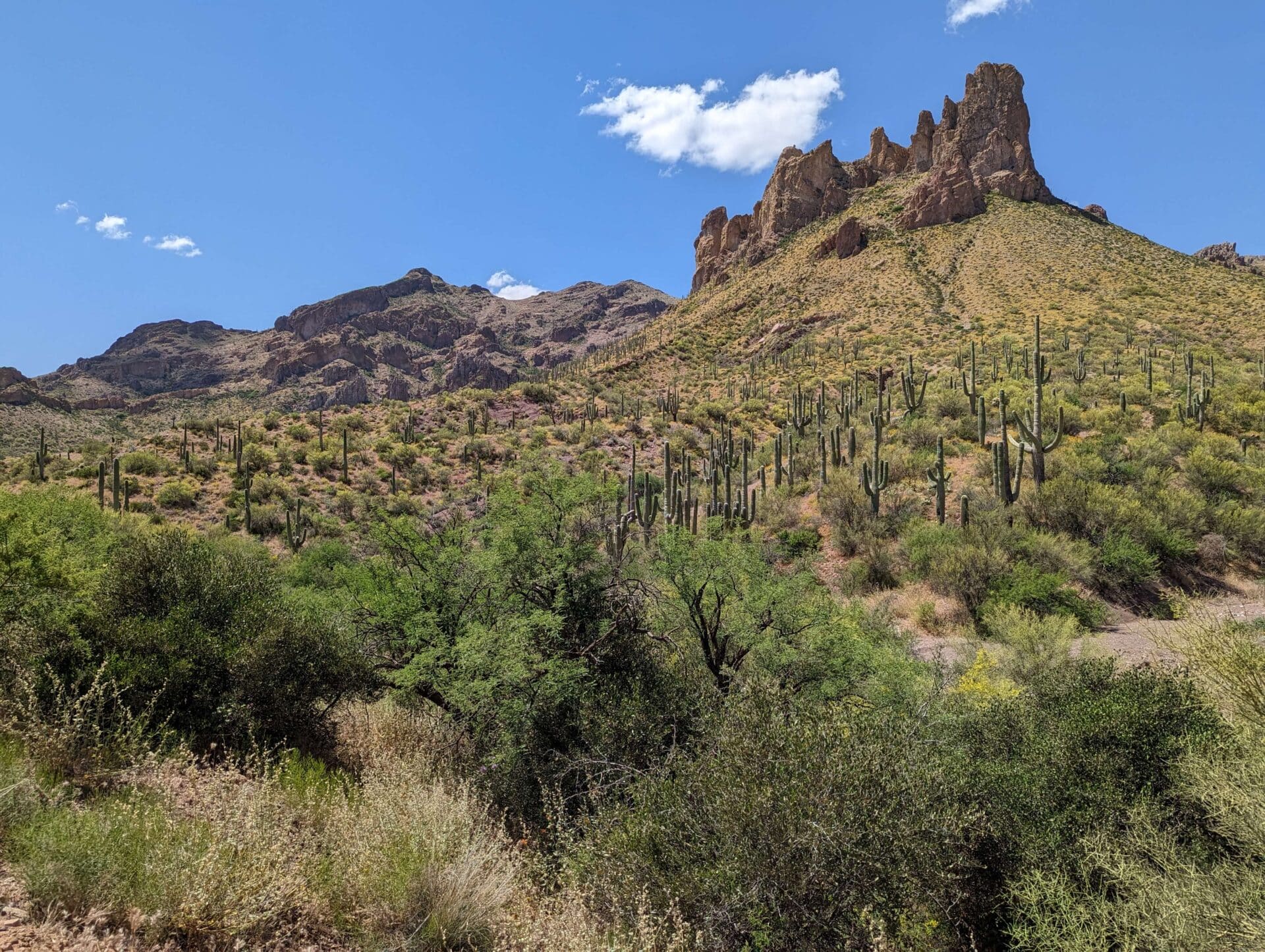 Elephant Arch, Hewitt Canyon background