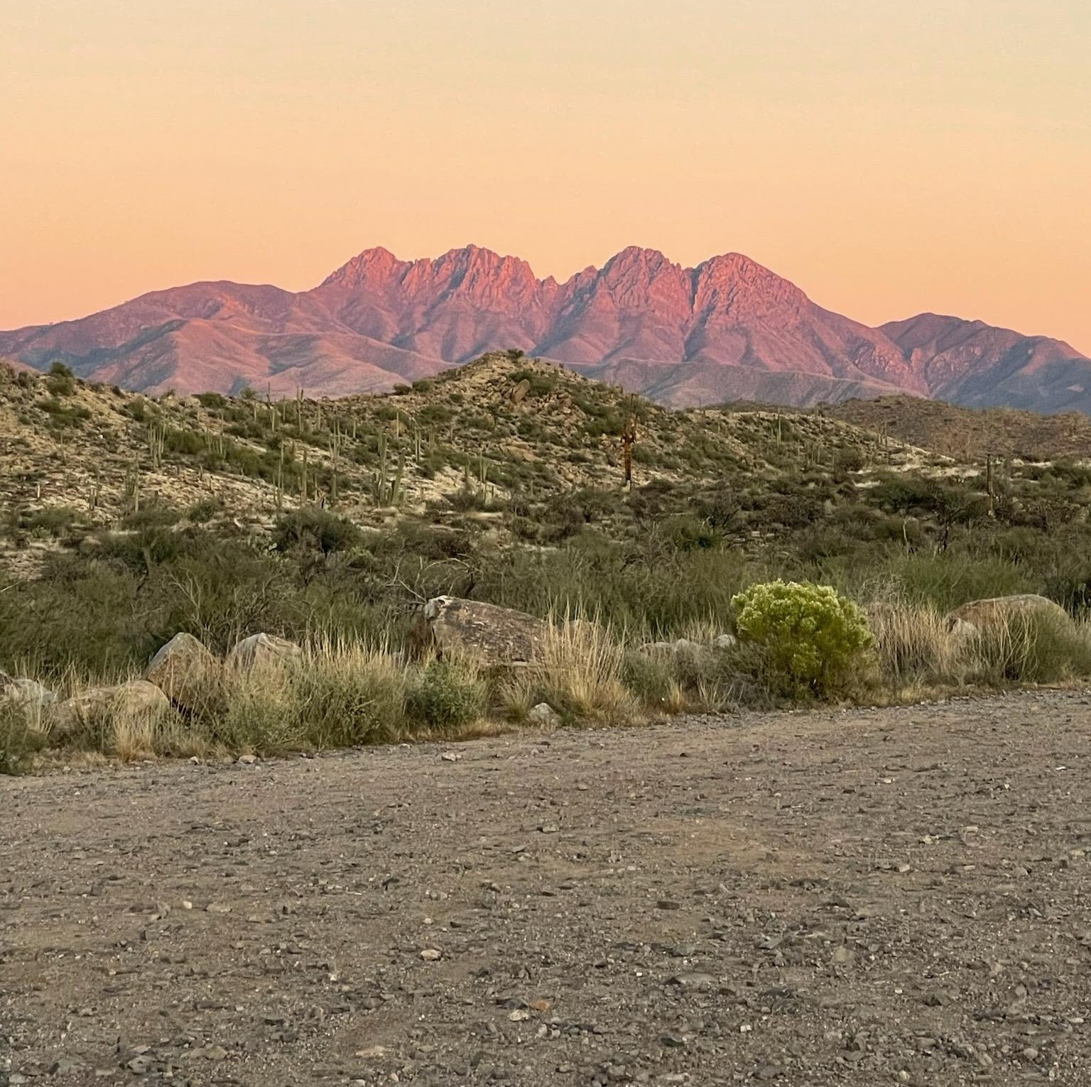 Four Peaks Wilderness background